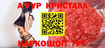 стаф Новокубанск