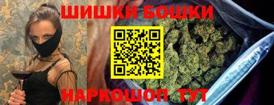 стаф Новокубанск