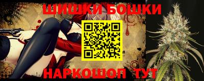 стаф Новокубанск