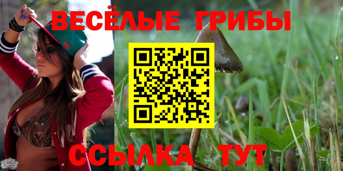 Сыктывкар  Галлюциногенные грибы ЛСД  Вход с VPN 