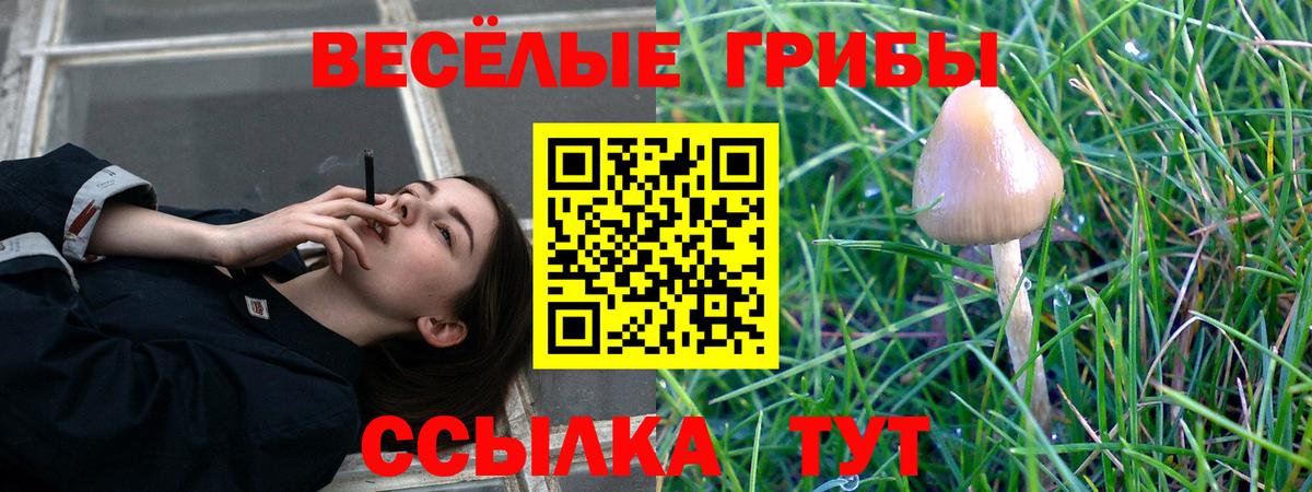 Галлюциногенные грибы прущие грибы Сыктывкар